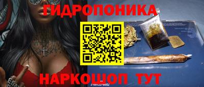 гашик Балахна
