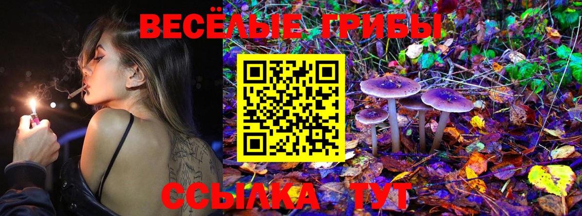 Галлюциногенные грибы мицелий Ессентуки
